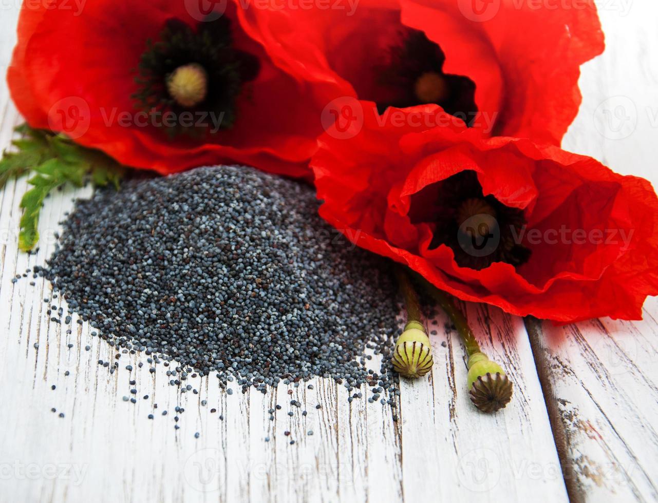 graines et fleurs de pavot photo