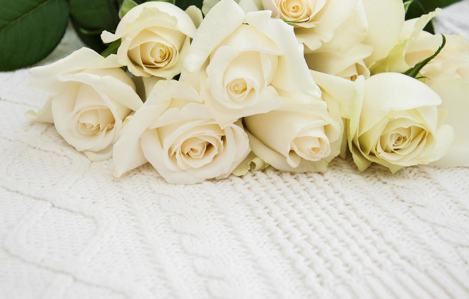 roses sur un fond blanc tricoté photo