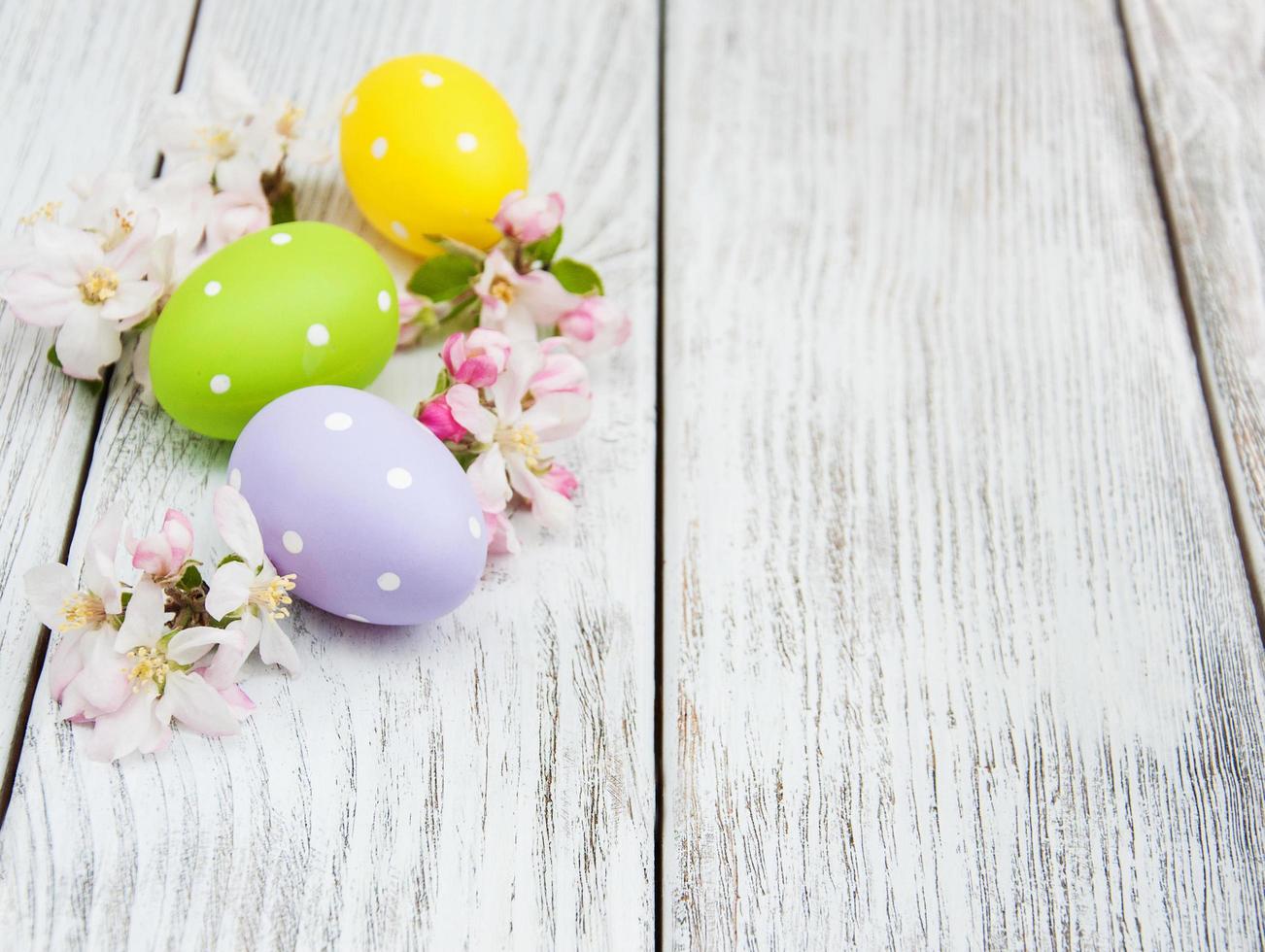 oeufs de pâques et fleur de pommier photo