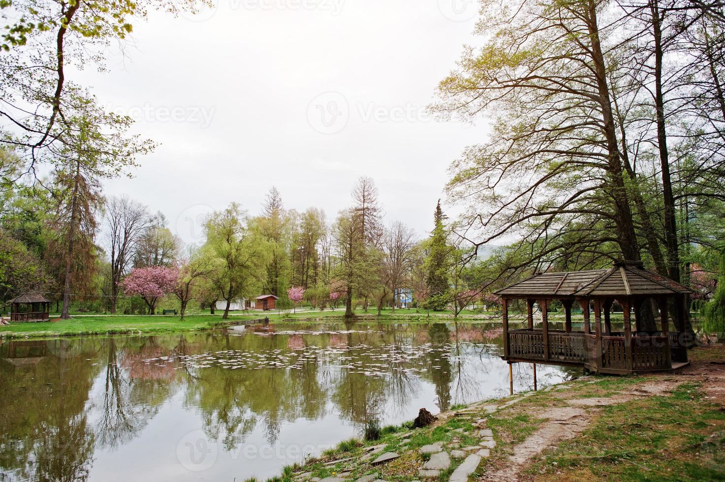 lac avec nénuphars au printemps parc avec tonnelle photo