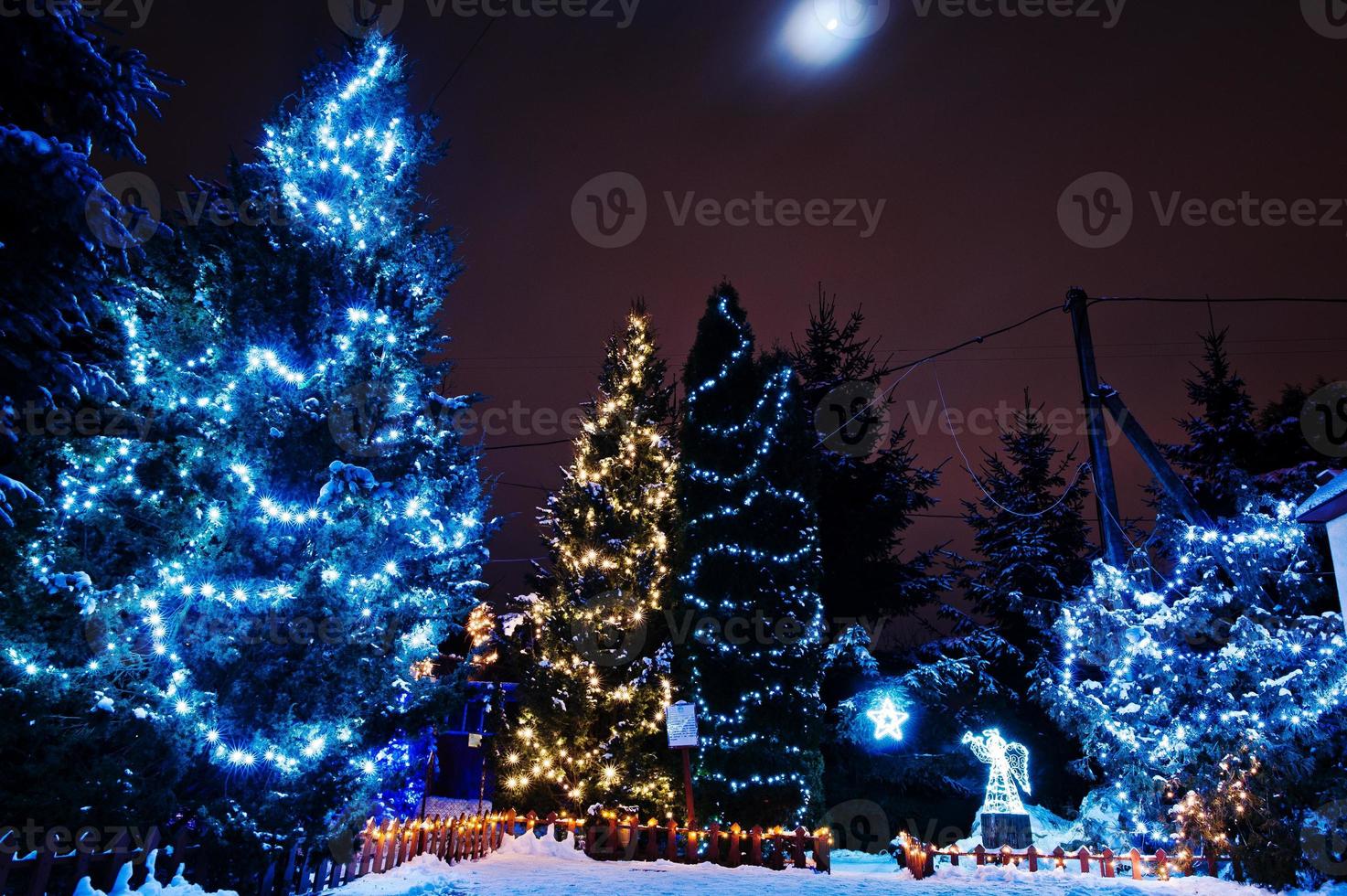 arbre de noël avec des guirlandes en plein air le soir gelé photo