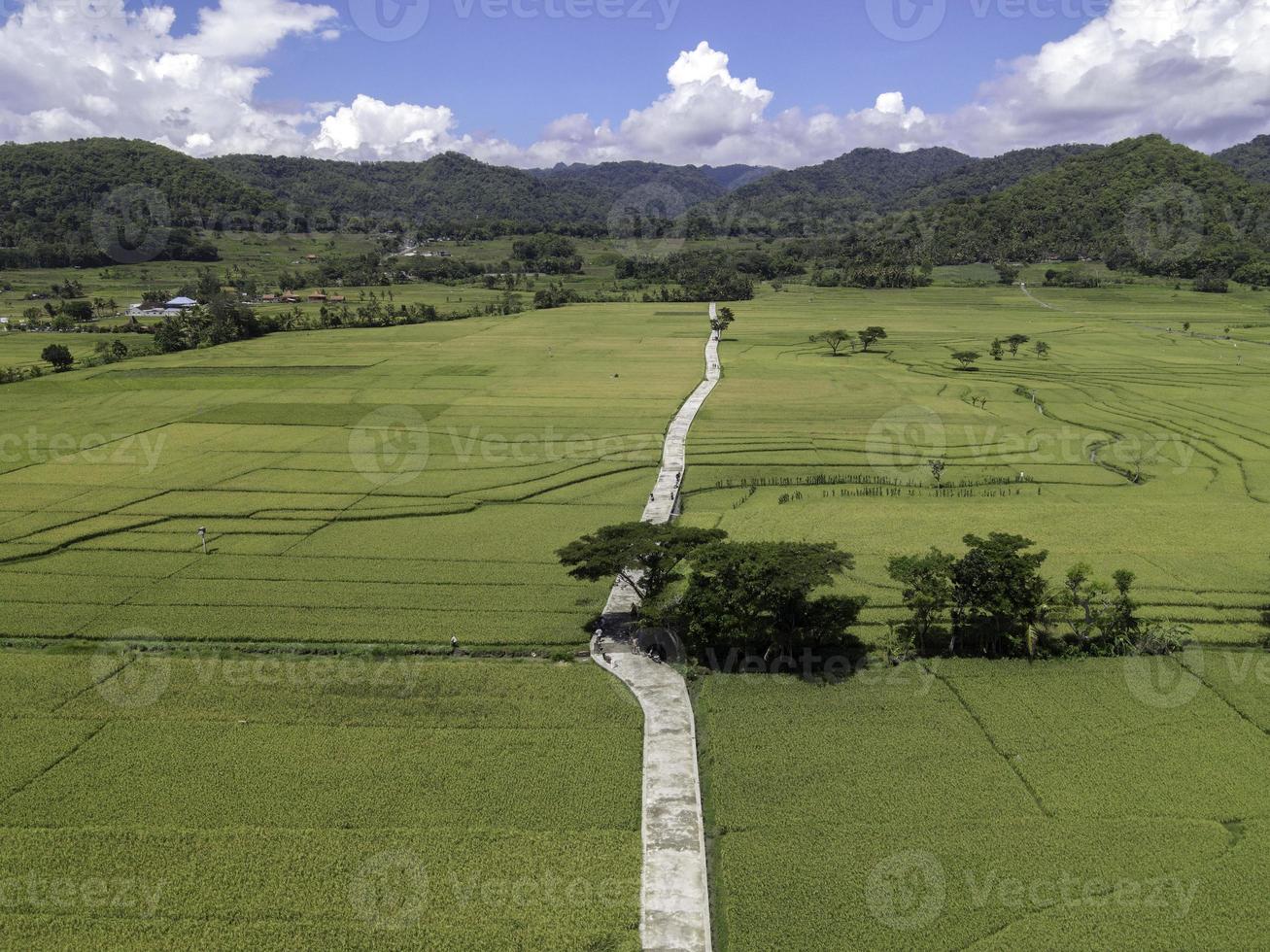 vue aérienne du champ de riz avec route en vue pronosutan, kulon progo, yogyakarta photo