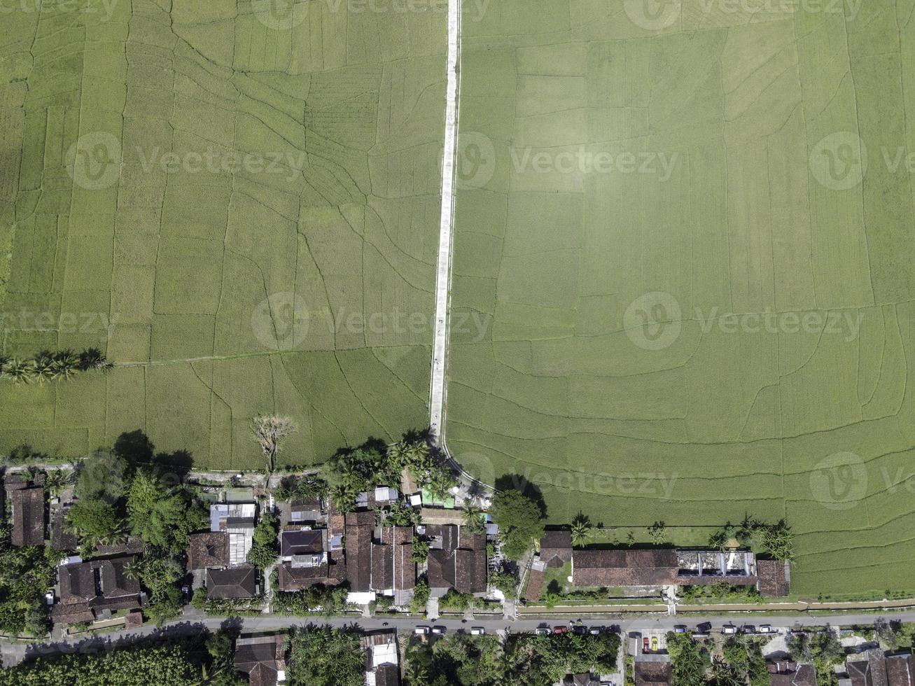 vue aérienne de dessus de rizière avec route en vue pronosutan, kulon progo, yogyakarta photo