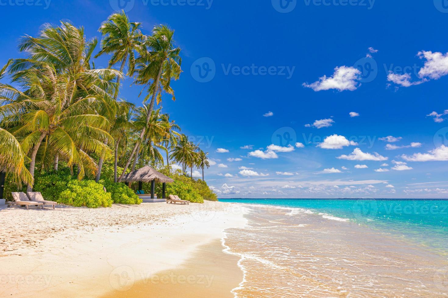 paradis de la plage de l'hôtel de villégiature tropical. nature incroyable, côte, rivage. vacances d'été, aventure de voyage. paysage de vacances de luxe, magnifique lagon océanique, palmiers bleu ciel. se détendre idyllique inspirer plage photo