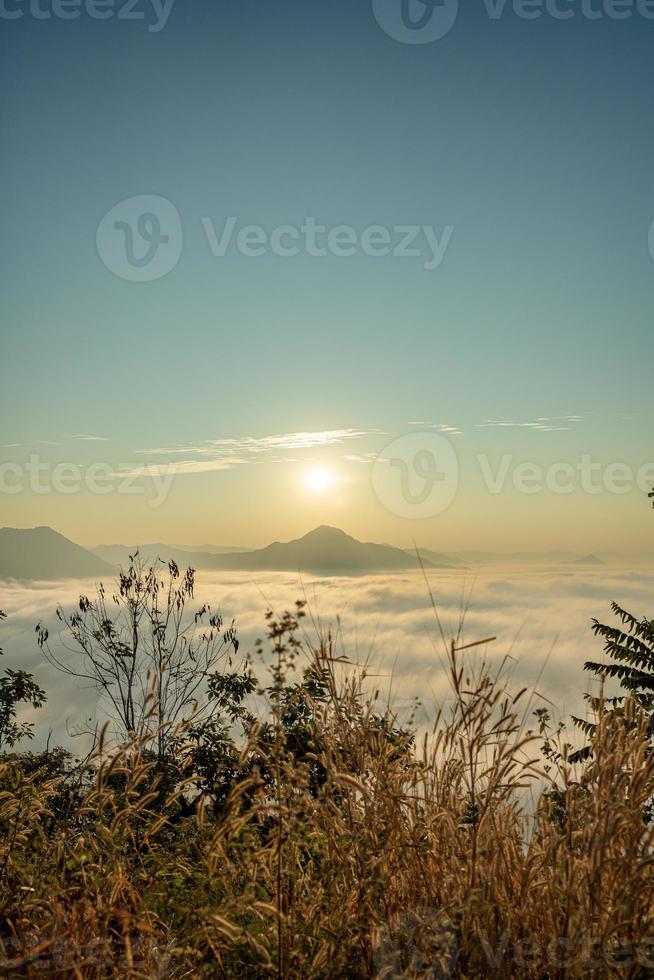 mer de brouillard couvre la zone au sommet de la colline doi phu thok, chiang khan, loei, thaïlande avec fond de lever de soleil en hiver. photo