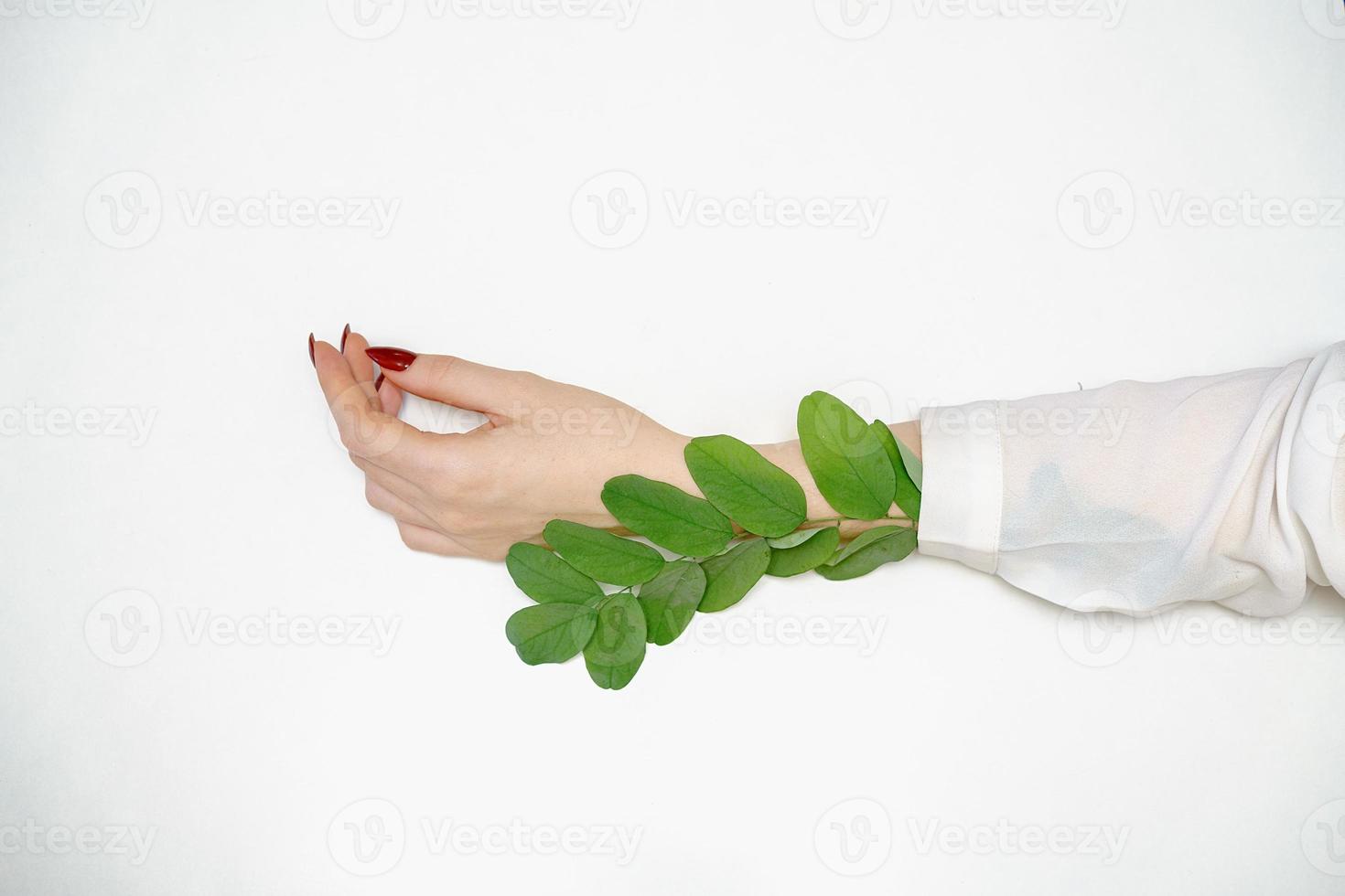 belle main féminine allongée sur fond blanc avec une brindille avec des feuilles vertes, concept de soins des mains photo