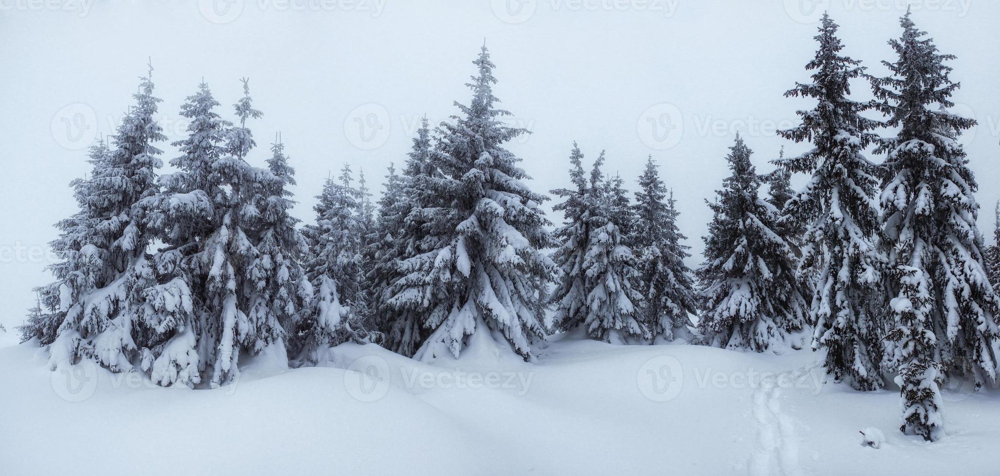 paysage d'hiver mystérieux montagnes majestueuses dans. magie photo