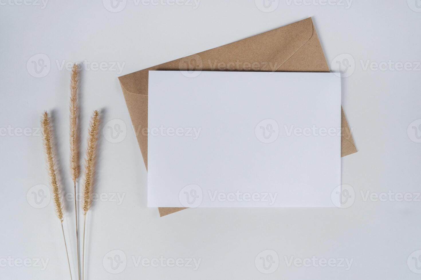 Enveloppe Papier Kraft Avec Carte Blanche Isolée En Blanc Photo stock -  Image du information, fond: 241684812