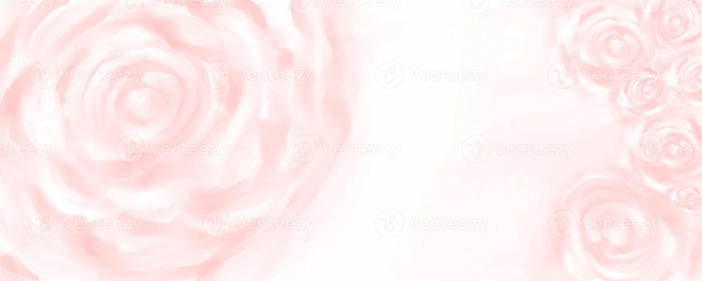 fleur de fond rose, floral rose photo