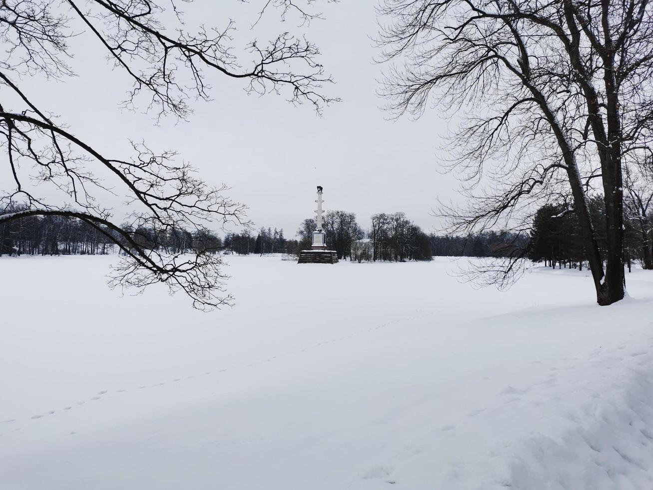 journée d'hiver dans les arbres de neige du parc catherine photo