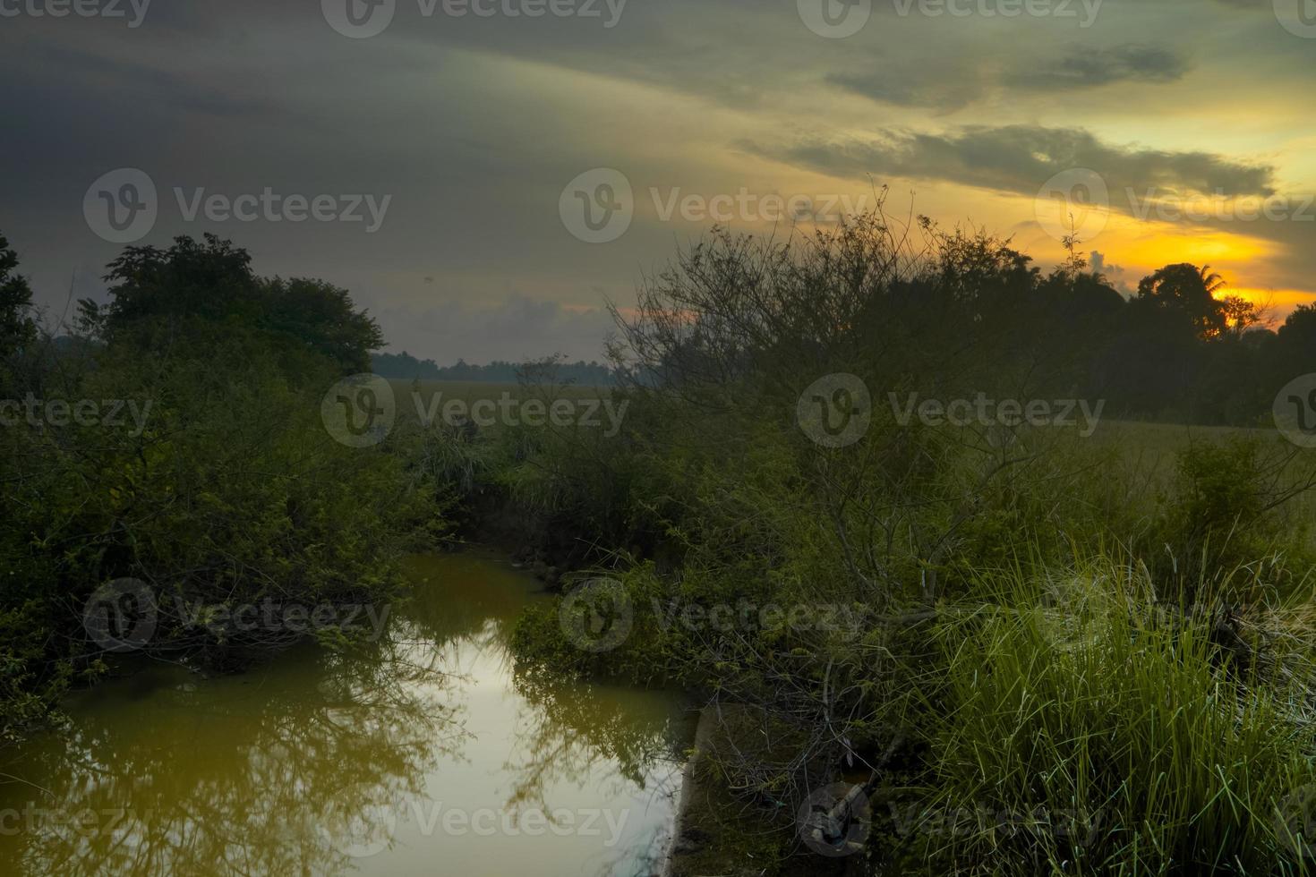 ruisseau dans le paysage naturel du coucher du soleil photo