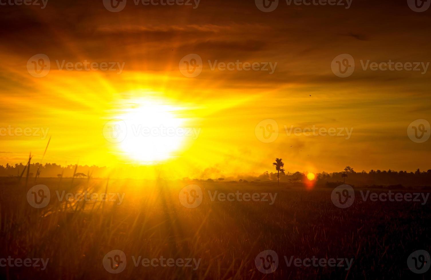 ciel coucher de soleil doré avec rayons de soleil photo