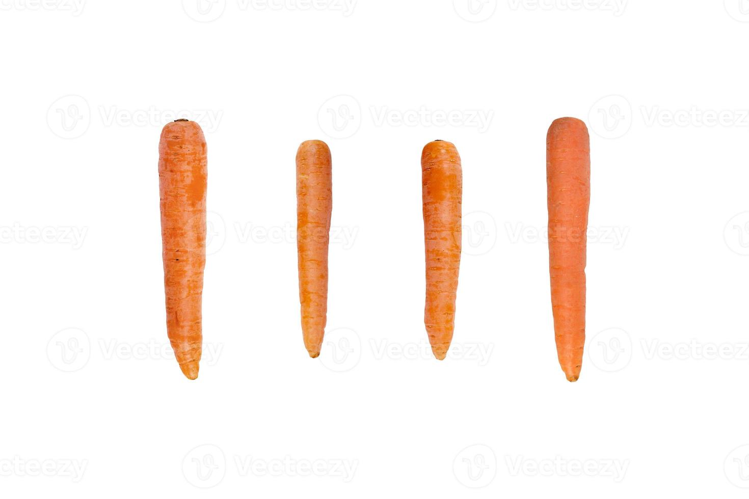 carottes isolées en position verticale sans feuilles photo