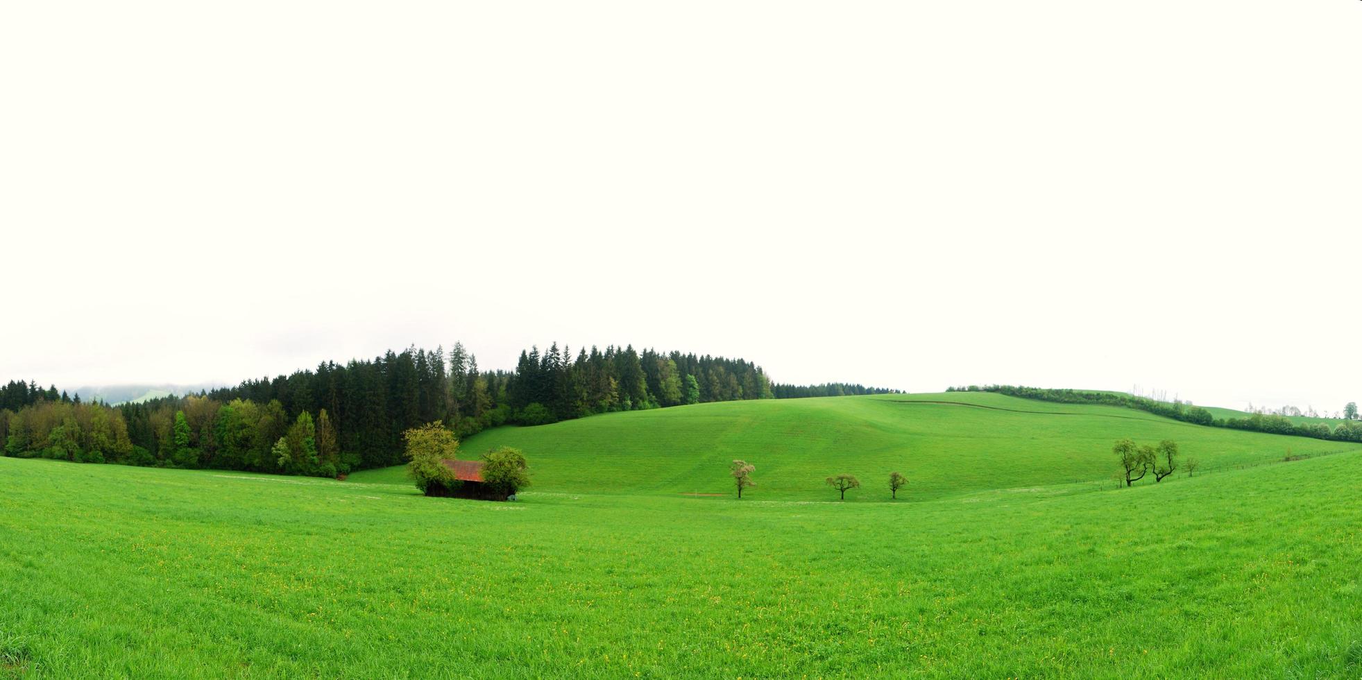 panorama de paysage verdoyant photo