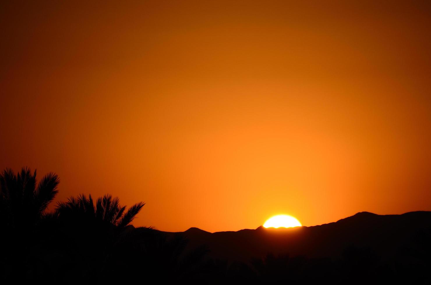 coucher de soleil avec montagnes et palmiers photo