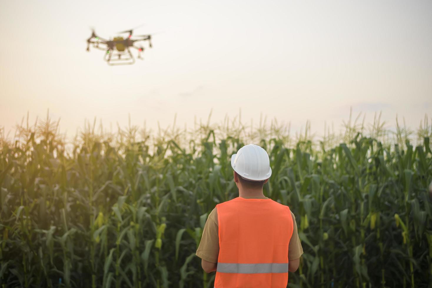 ingénieur masculin contrôlant la pulvérisation d'engrais et de pesticides par drone sur les terres agricoles, les innovations de haute technologie et l'agriculture intelligente photo