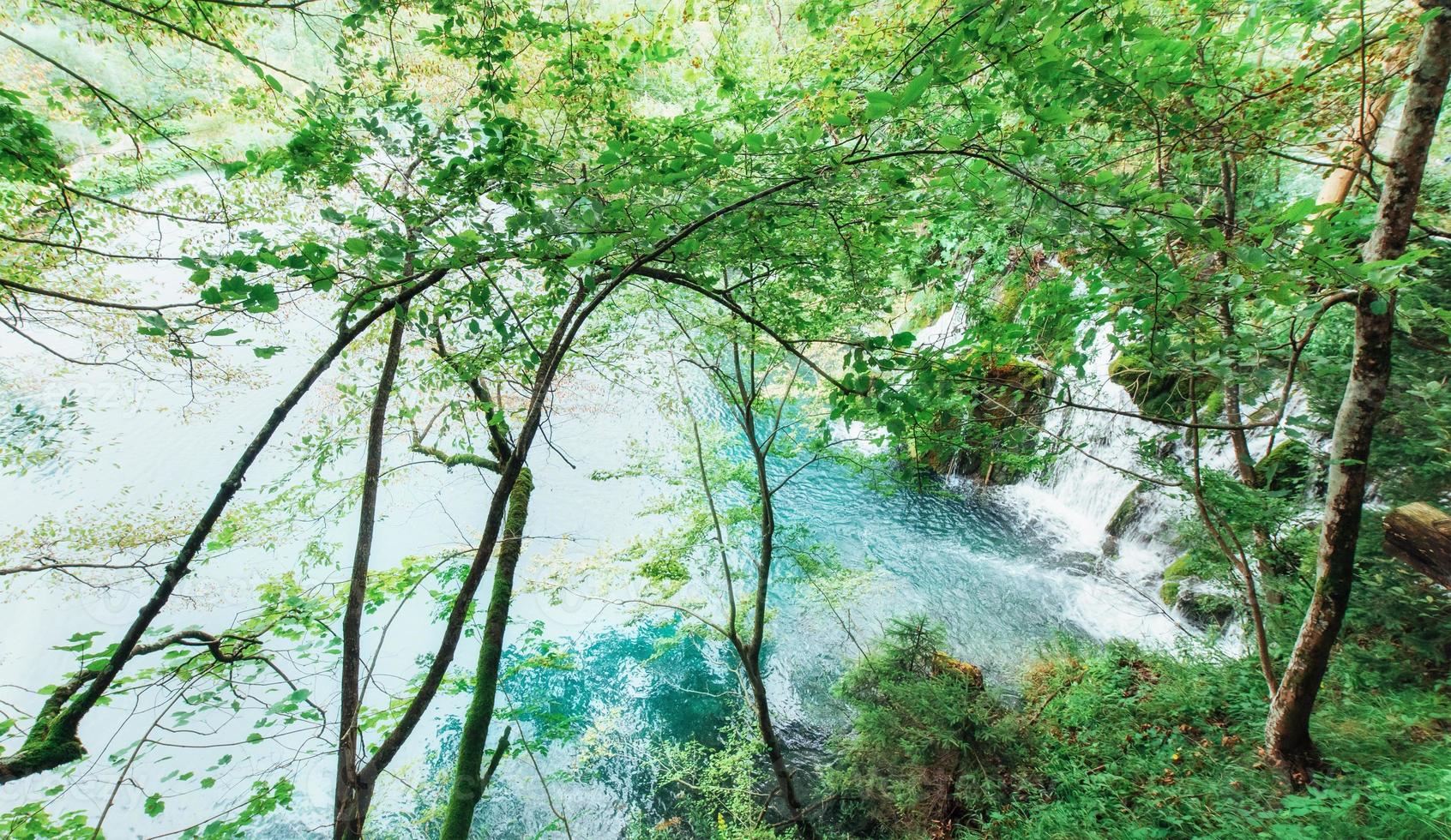 belle cascade dans la forêt verte d'été. photo