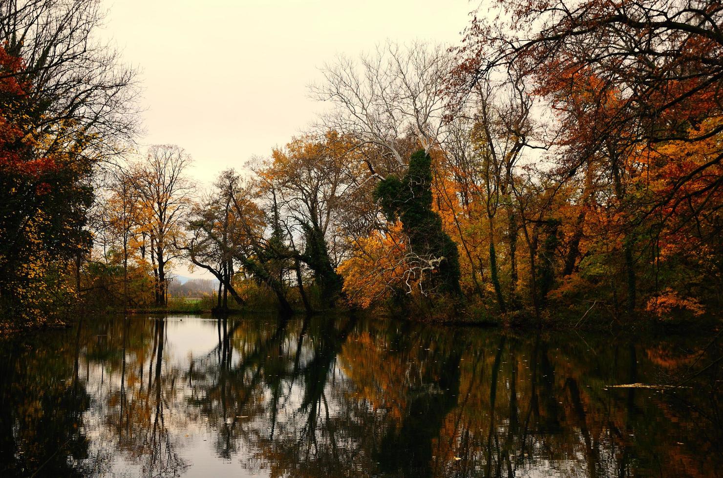 forêt d'automne colorée avec lac avec réflexion photo