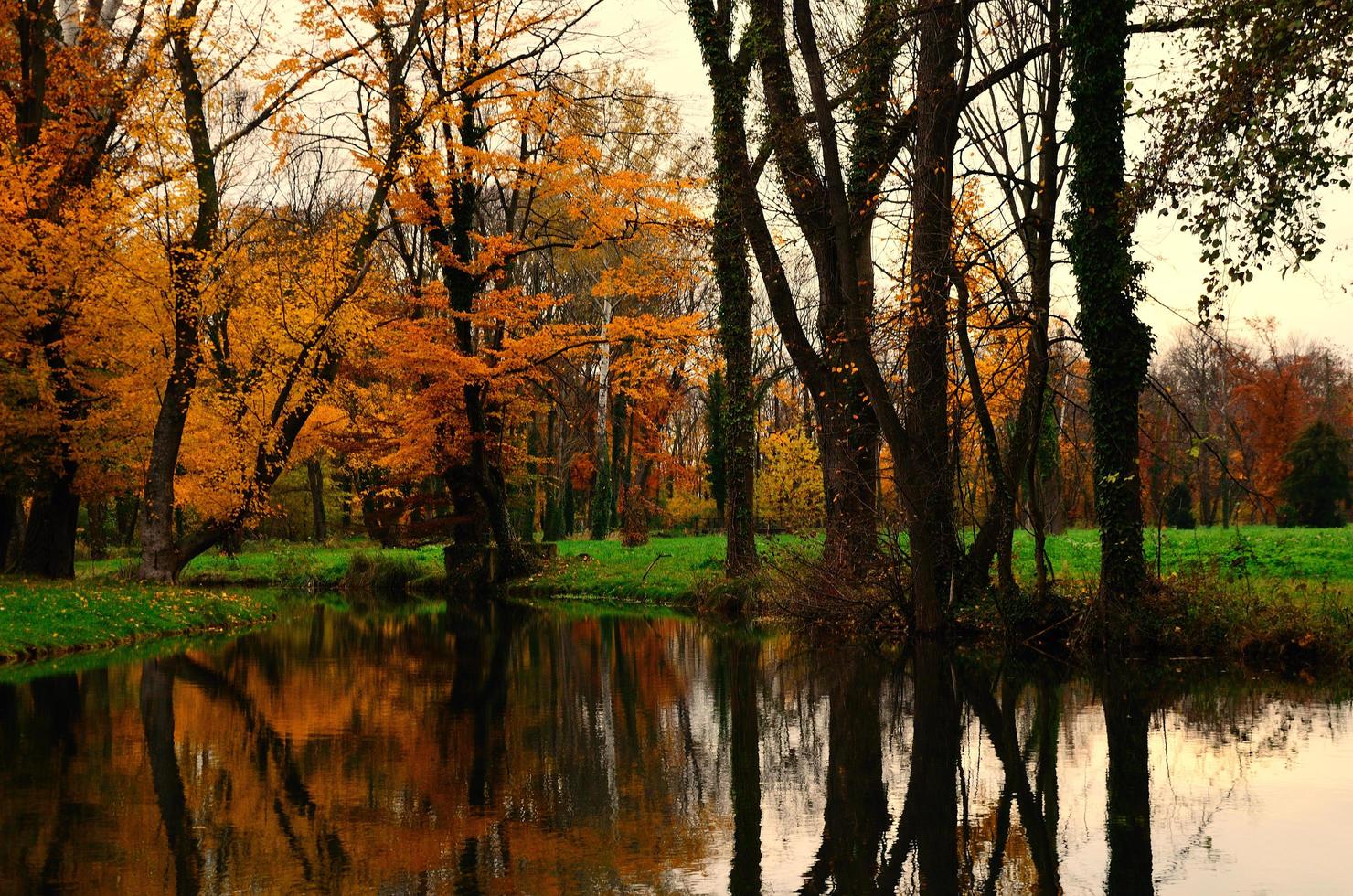 forêt d'automne et reflet dans le ruisseau photo