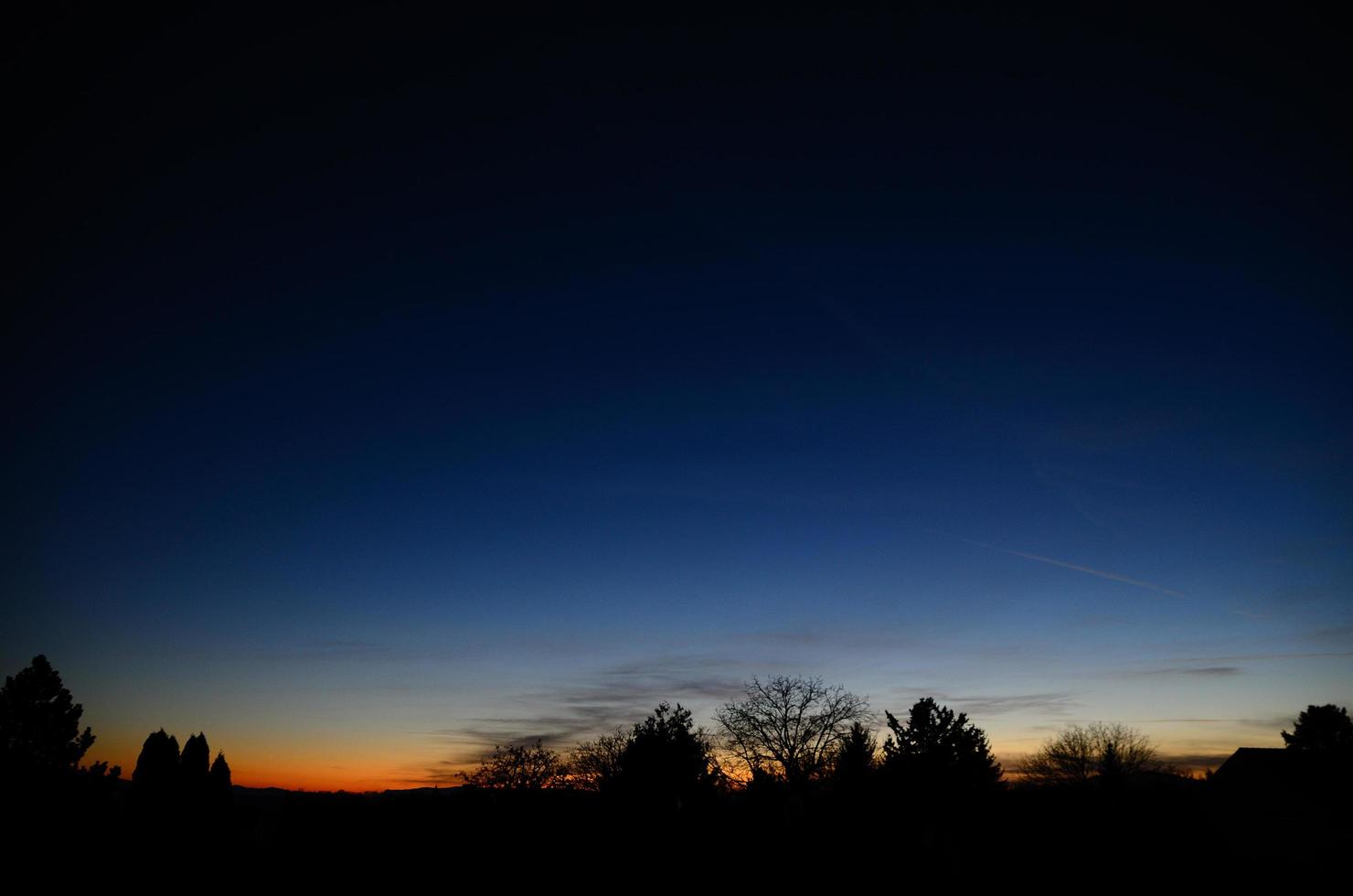 heure bleue avec arbres et arbustes photo