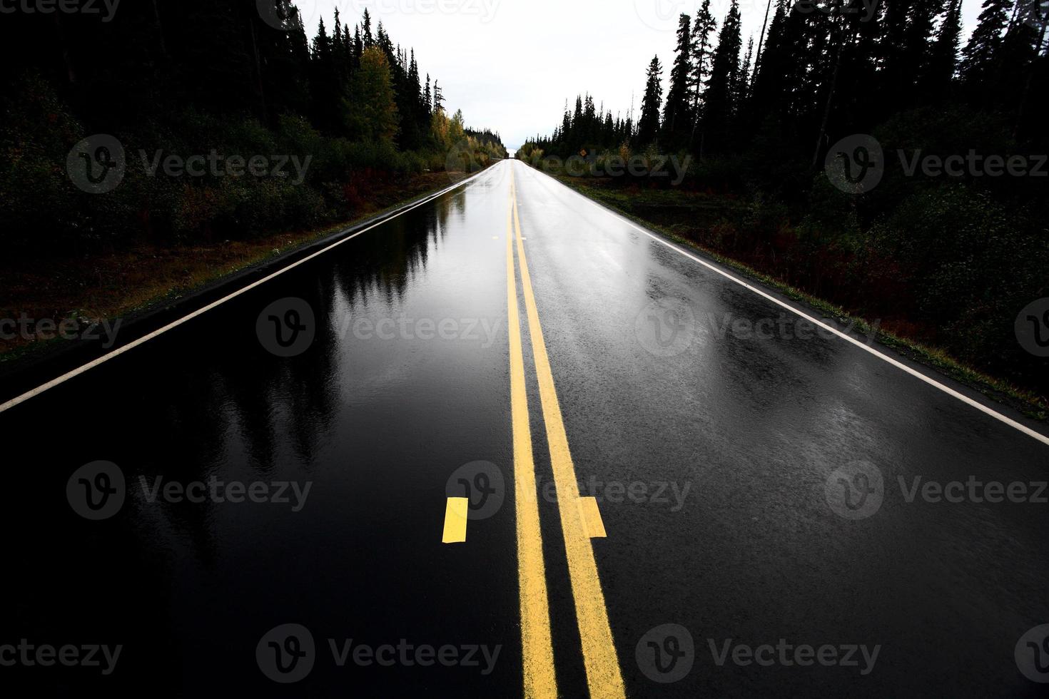 Cassiar humide route à travers le nord de la Colombie-Britannique photo