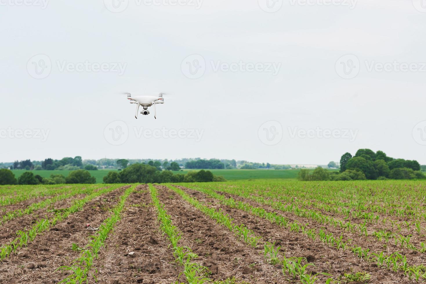 drone quad copter avec appareil photo numérique haute résolution sur champ de maïs vert