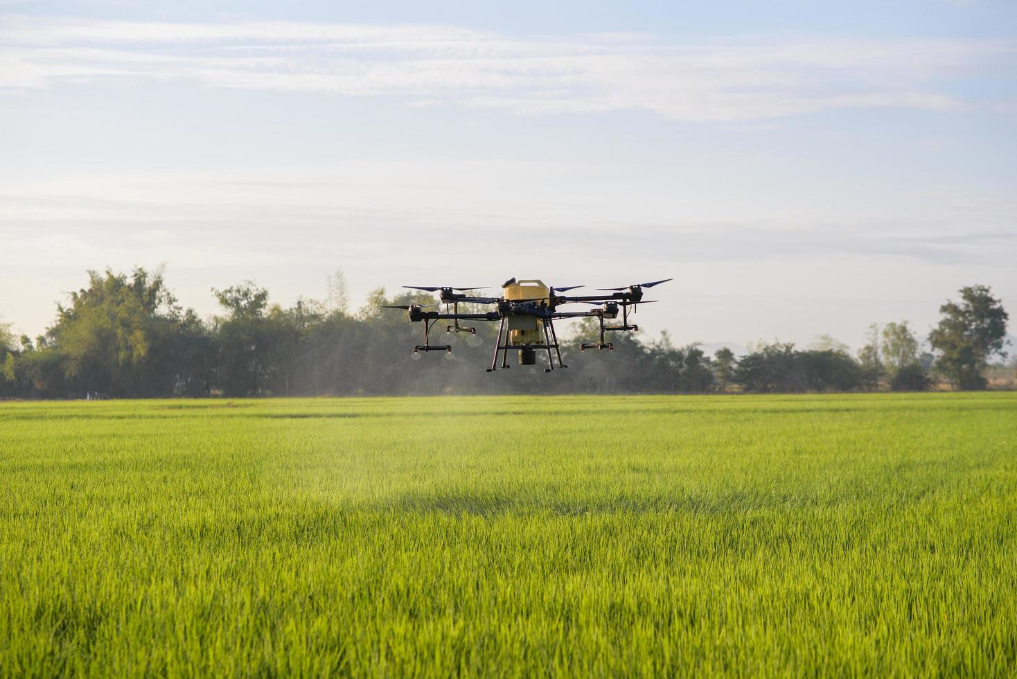 drone agricole volant et pulvérisant des engrais et des pesticides sur les terres agricoles, les innovations de haute technologie et l'agriculture intelligente photo