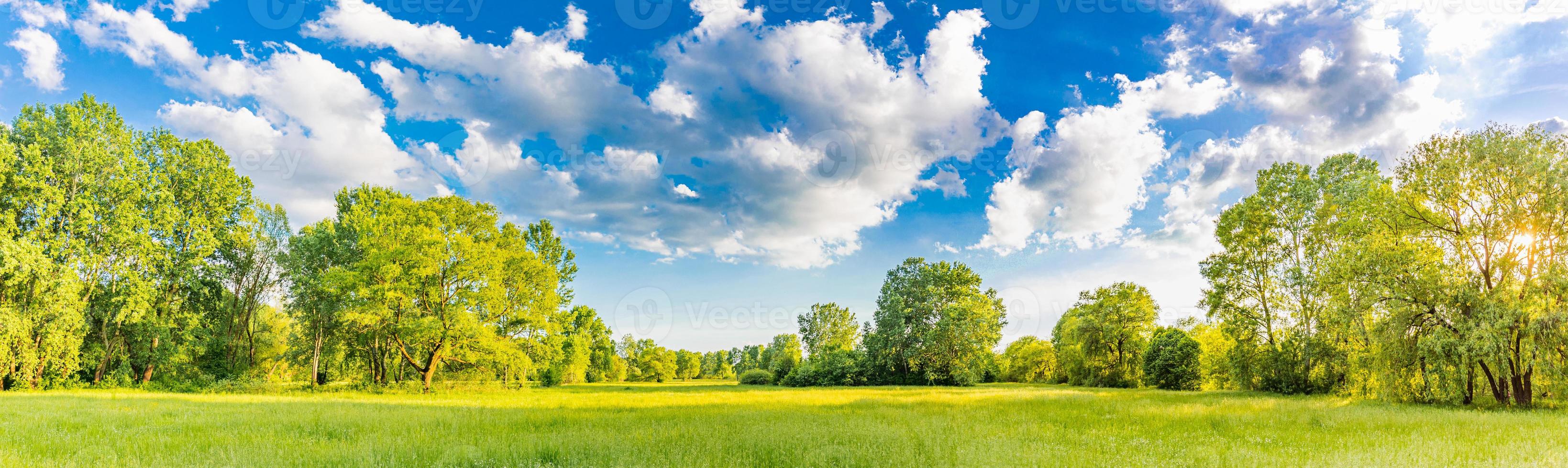 paysage de montagne idyllique avec des prairies vertes fraîches et des fleurs sauvages en fleurs. vue sur la campagne nature idyllique, vue naturelle extérieure rurale. bannière nature idyllique, paysage panoramique printemps été photo