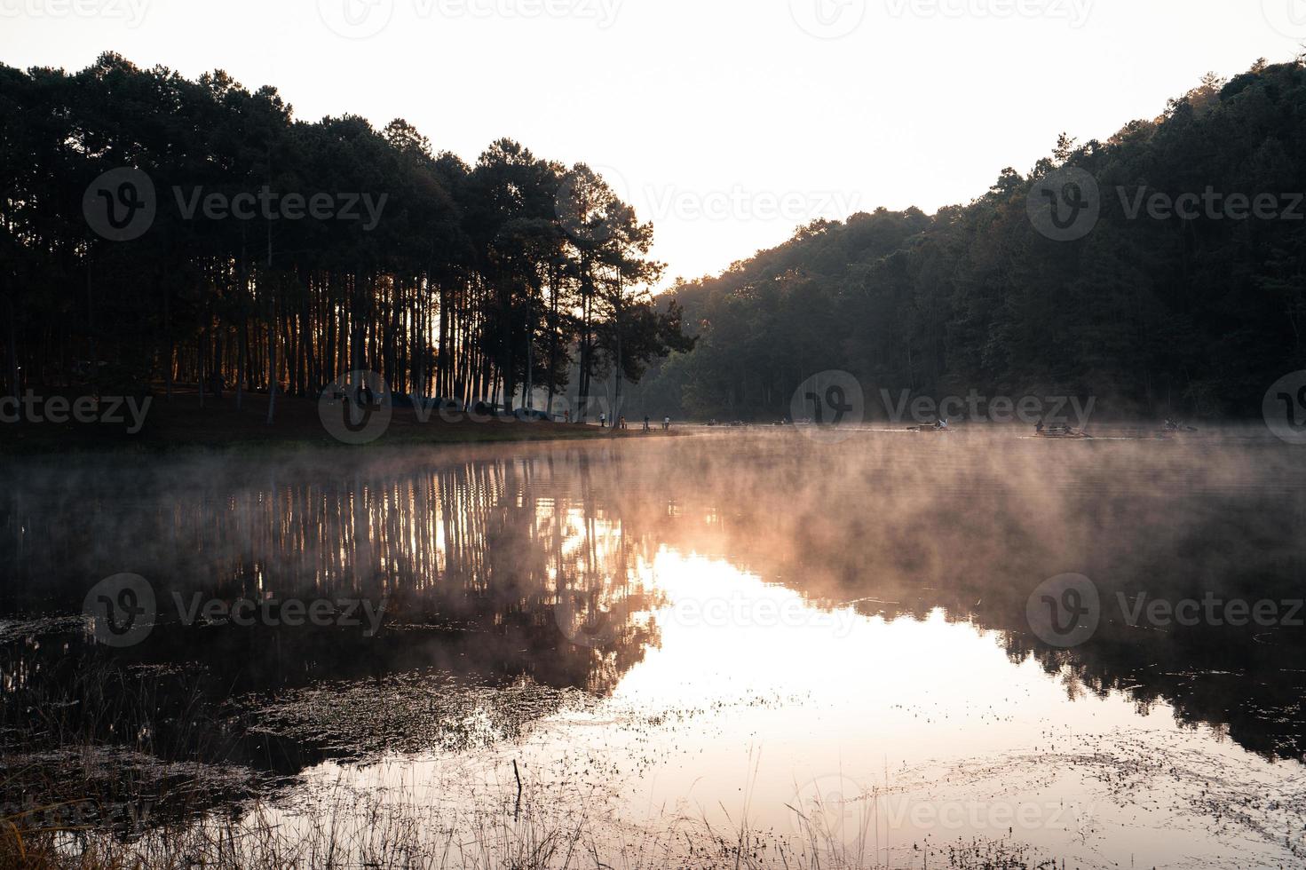 beau lac naturel et forêt le matin photo