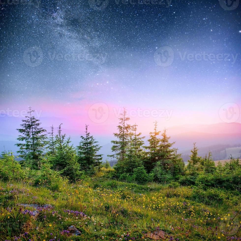 randonnée des étoiles laitières dans les bois. scène dramatique et pittoresque. fantastique ciel étoilé et la voie lactée photo