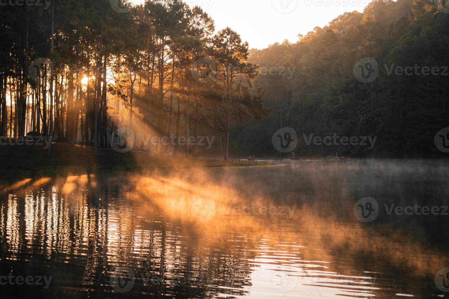 beau lac naturel et forêt le matin photo