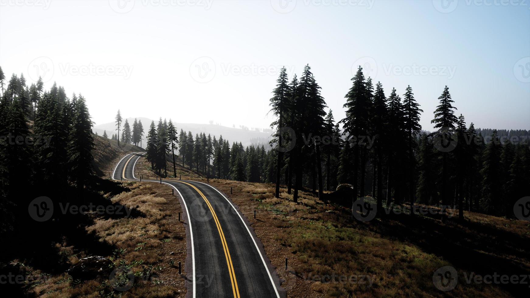 vue aérienne sur une route sinueuse en été photo