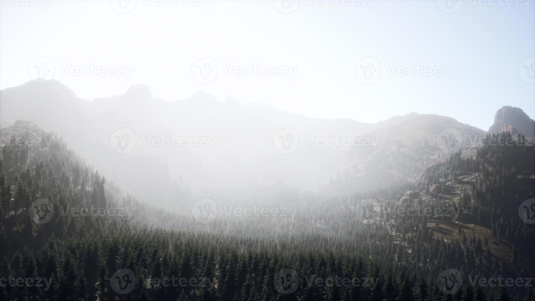 belle vue sur le coucher de soleil dans la forêt de cèdres devant la chaîne de montagnes de sayan photo