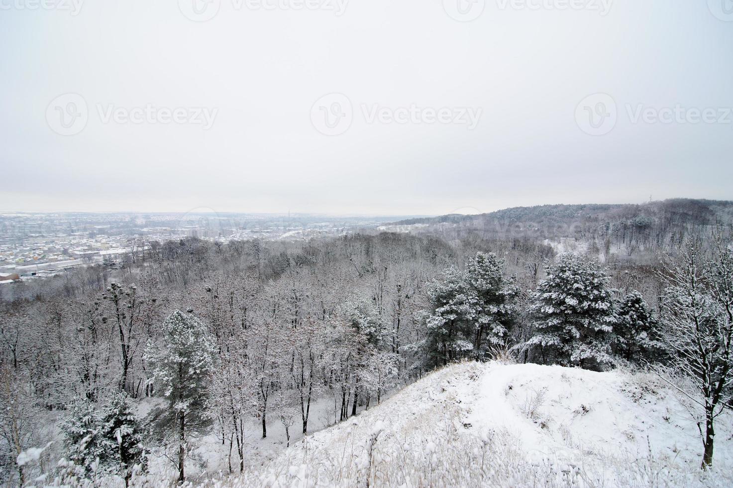 paysage d'hiver. la neige couvrait tous les arbres. la neige se couche sur les branches. photo