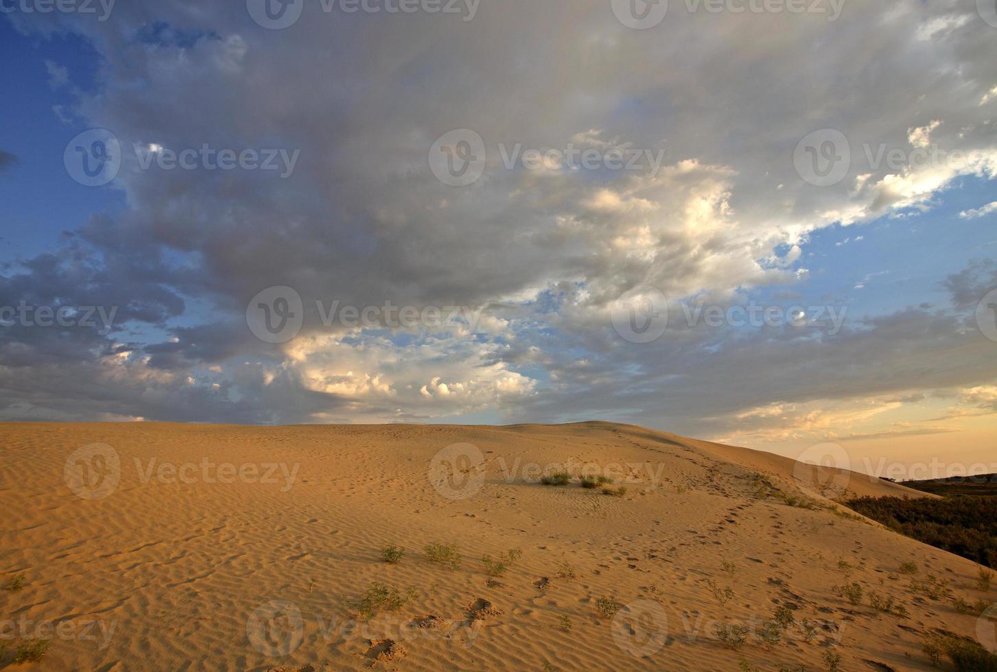 Dune de sable à Great Sand Hills dans la pittoresque Saskatchewan photo