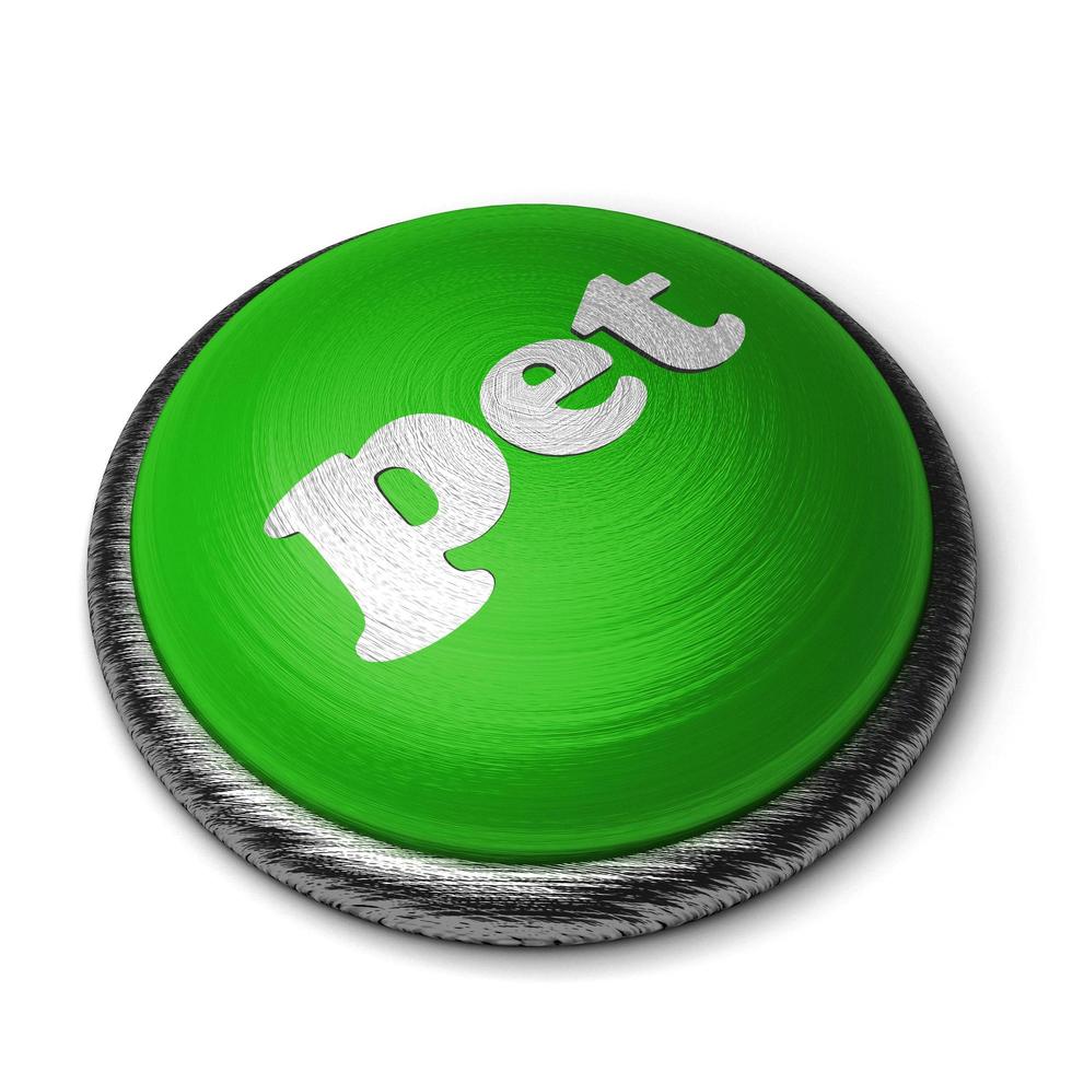 Mot animal sur le bouton vert isolé sur blanc photo