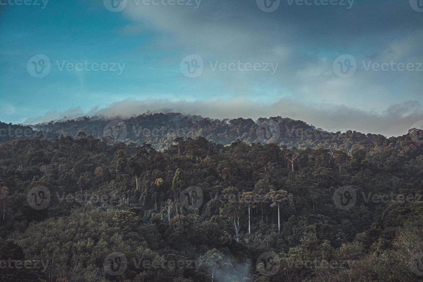 vue matinale du paysage de montagne avec brouillard sur fond de ciel et nuages dans la province de phatthalung, sud de la thaïlande. photo