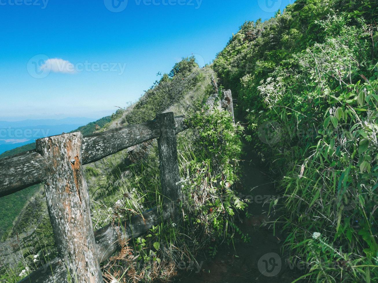 Sentier à flanc de falaise au parc national doi inthanon , thaïlande photo
