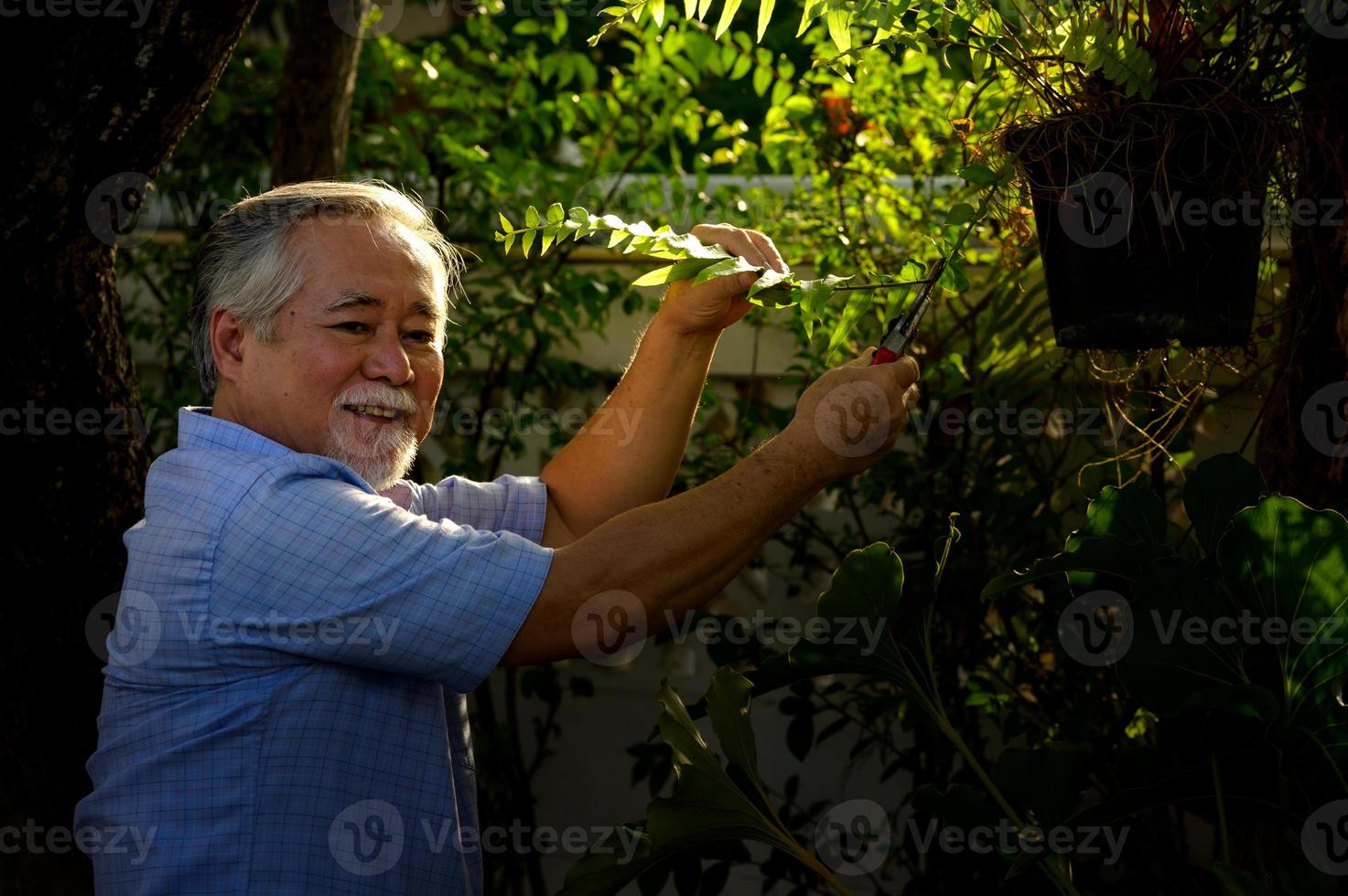 un homme âgé est heureux de s'occuper des fleurs et des plantes du jardin de la maison. photo