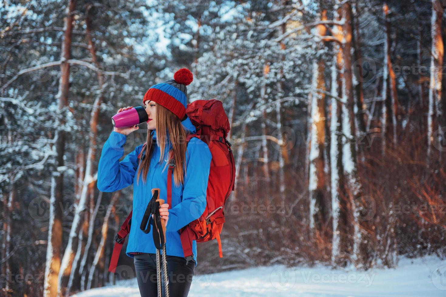 femme voyageuse avec sac à dos randonnée voyage style de vie aventure concept vacances actives en plein air. belle forêt de paysage photo