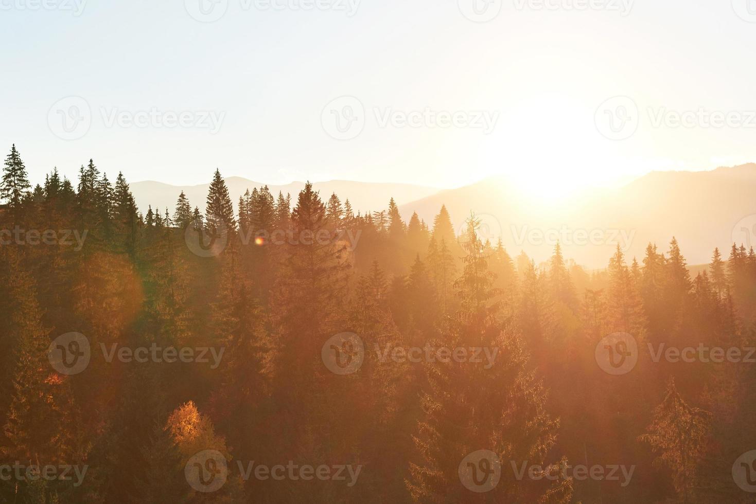 beau matin d'automne sur le point de vue au-dessus de la vallée de la forêt profonde dans les carpates, ukraine, europe photo