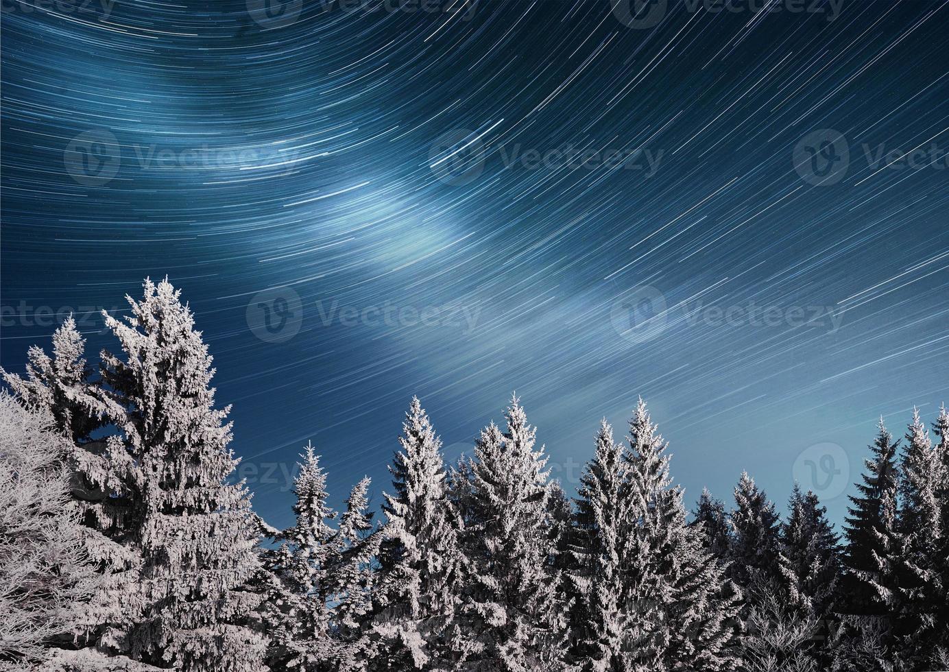 arbre couvert de neige d'hiver magique. paysage d'hiver. ciel nocturne vibrant avec étoiles et nébuleuse et galaxie. astrophoto du ciel profond photo