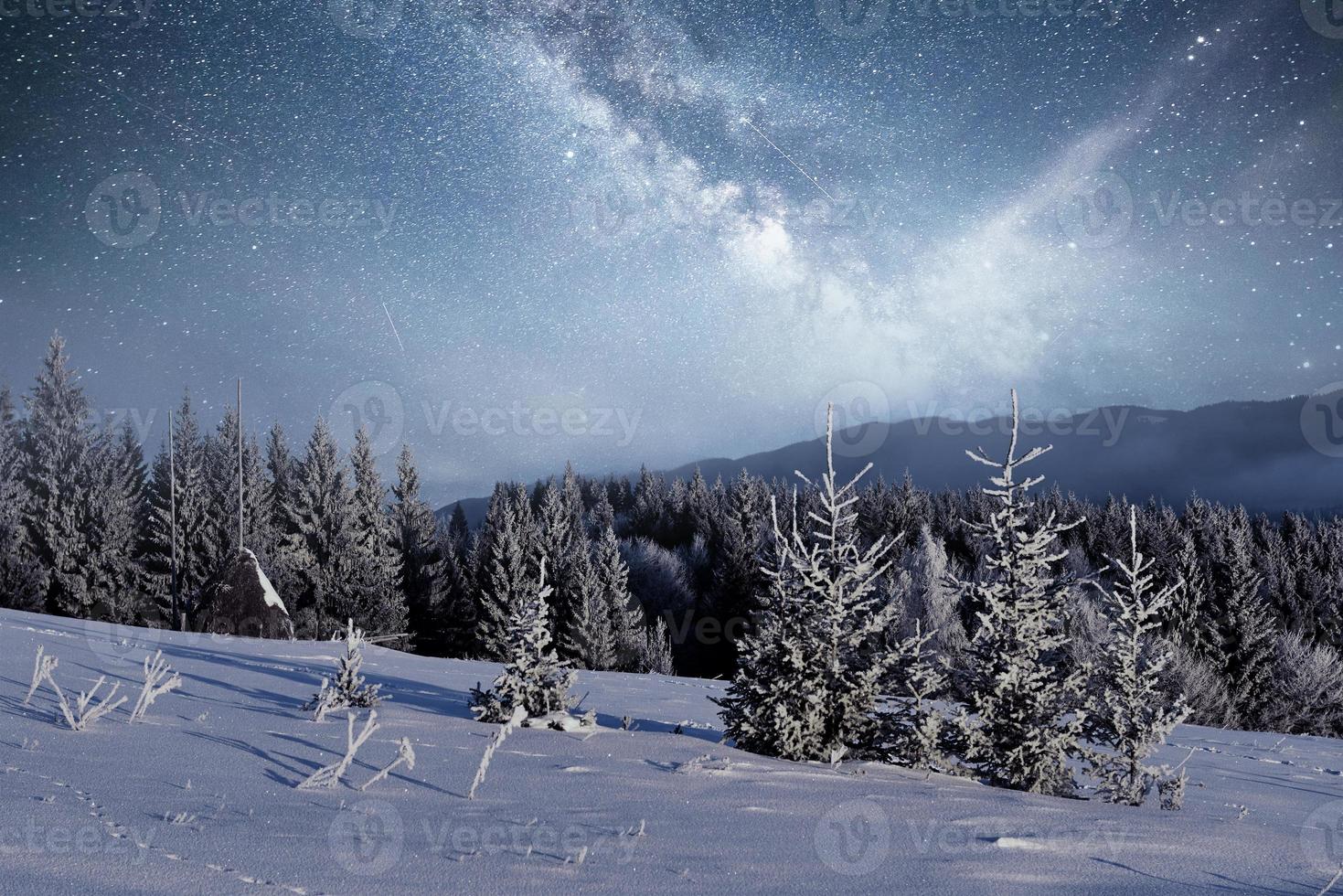 arbre couvert de neige d'hiver magique. paysage d'hiver. ciel nocturne vibrant avec étoiles et nébuleuse et galaxie. astrophoto du ciel profond. photo