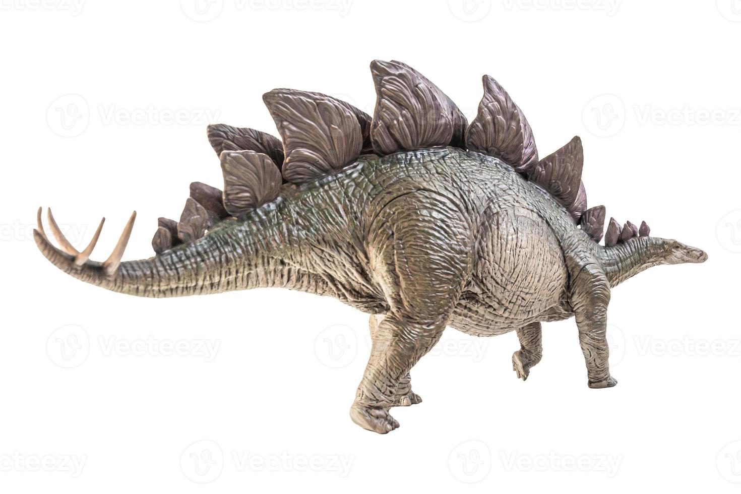 dinosaure stegosaurus sur fond blanc photo