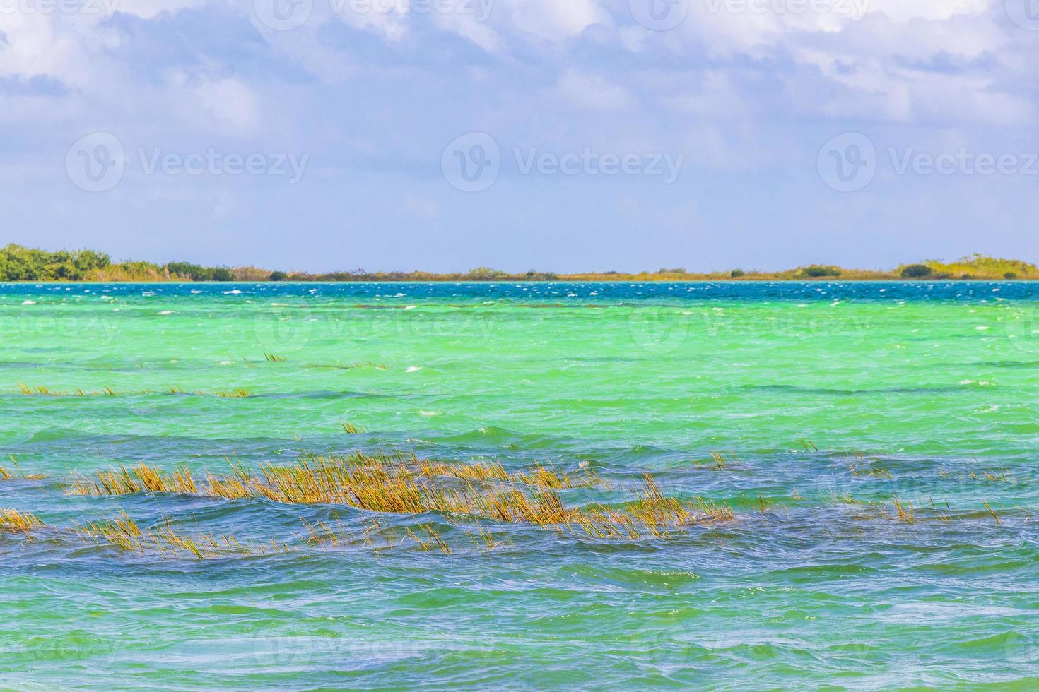 muyil lagon panorama vue paysage nature eau turquoise mexique. photo