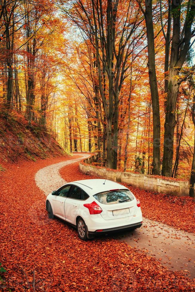 voiture sur un chemin forestier. belle route dans les montagnes. carpates photo