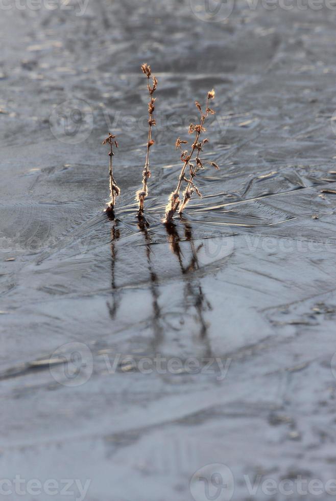 conception abstraite de réflexion de glace photo