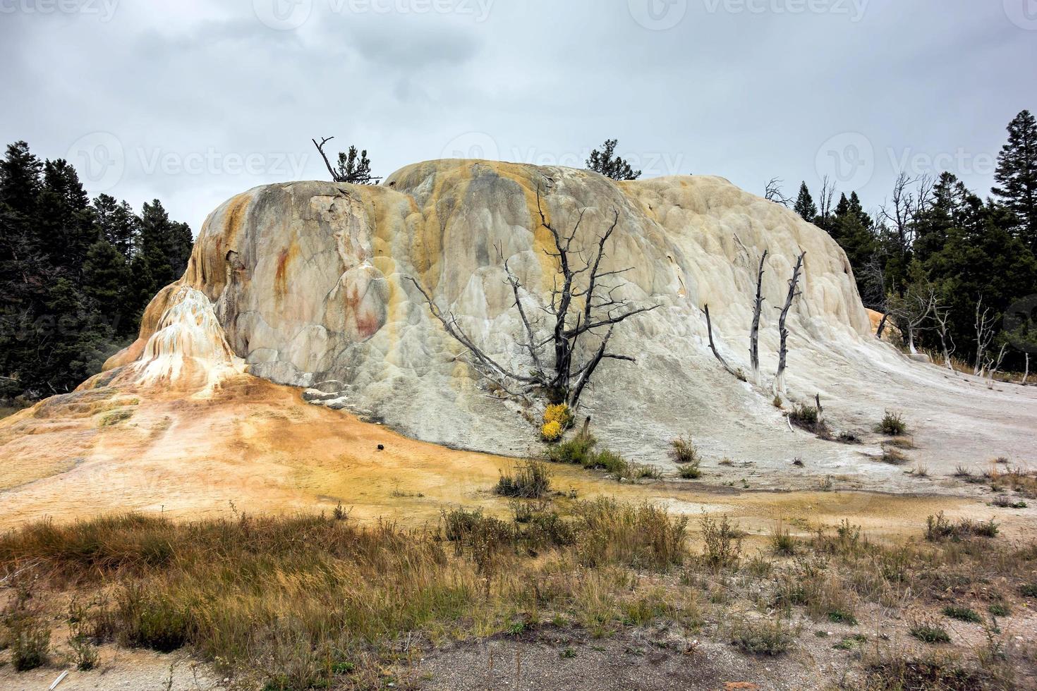 sources chaudes de mammouth photo