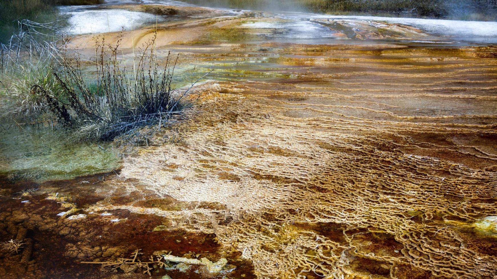 Mammoth Hot Springs dans le parc national de Yellowstone photo