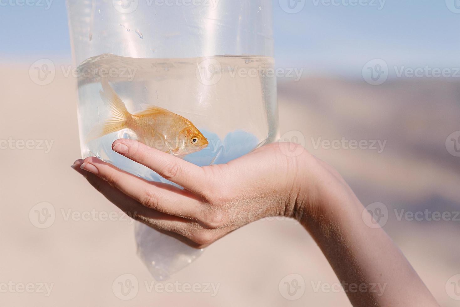 femme blonde dans le désert avec des poissons rouges dans les mains photo